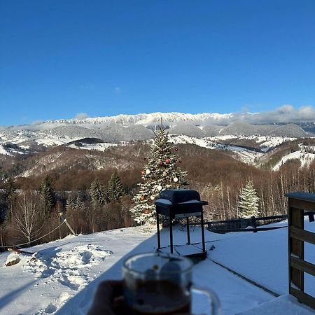 Cabanuta Din Munti Moieciu de Jos Exterior foto