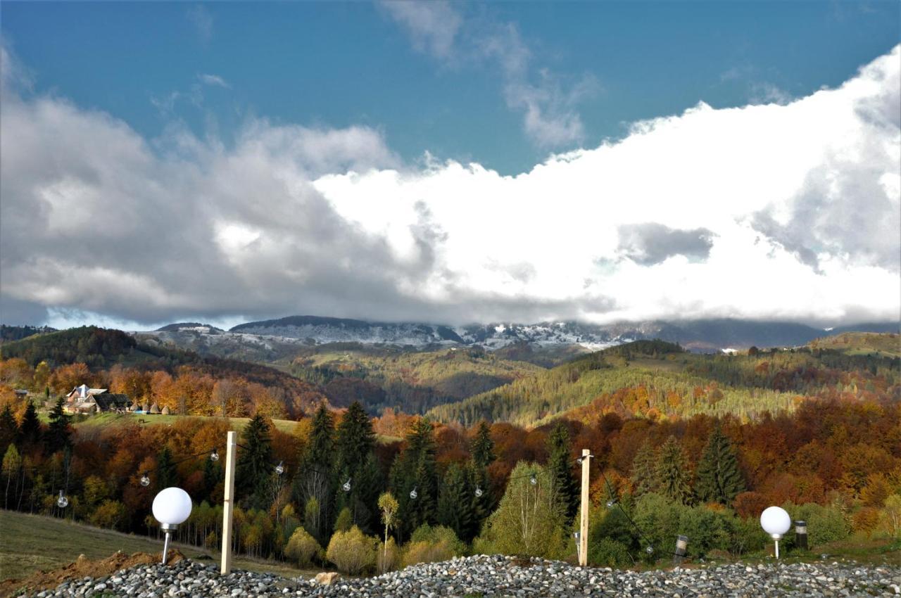 Cabanuta Din Munti Moieciu de Jos Exterior foto