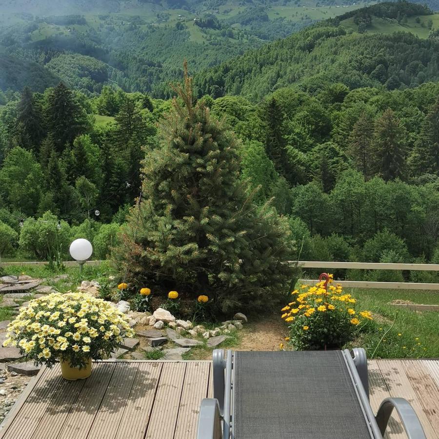 Cabanuta Din Munti Moieciu de Jos Exterior foto