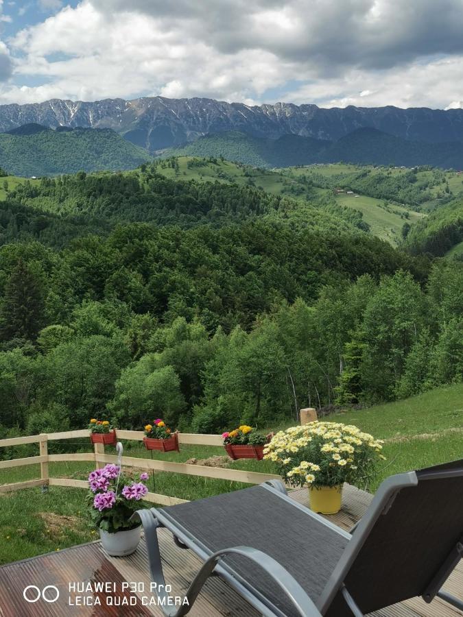Cabanuta Din Munti Moieciu de Jos Exterior foto