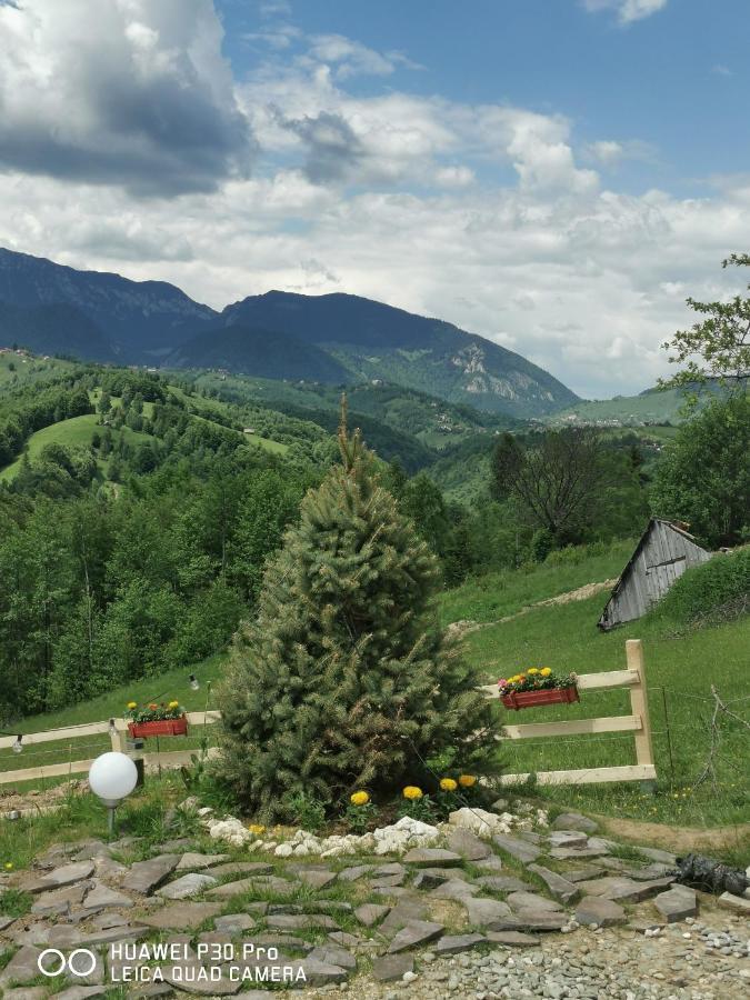 Cabanuta Din Munti Moieciu de Jos Exterior foto